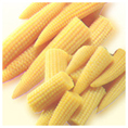 sweet corn manufacturer in Pune